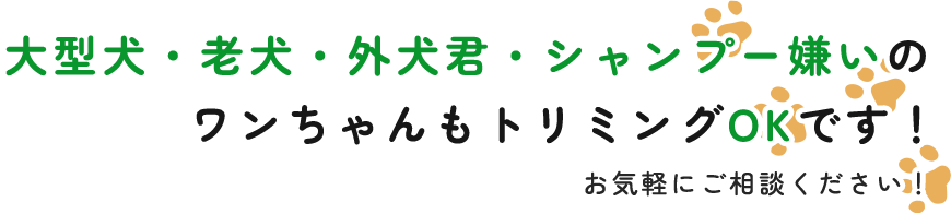 大型犬・老犬・外犬君・シャンプー嫌いのワンちゃんもトリミングOKです!お気軽にご相談ください!
