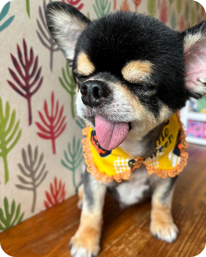 Instagramでも情報を発信しています