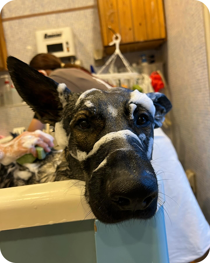 Instagramでも情報を発信しています