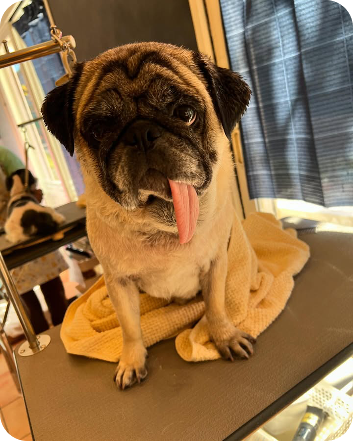 Instagramでも情報を発信しています