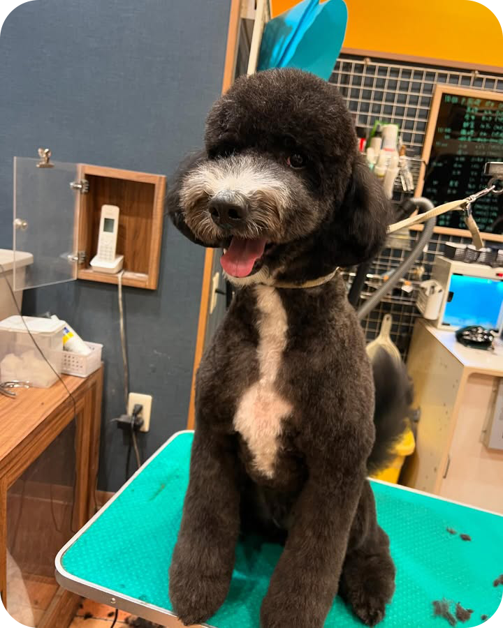 Instagramでも情報を発信しています